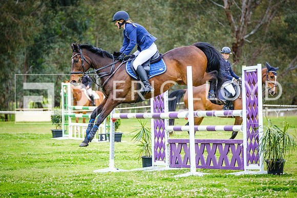 DSCF2315