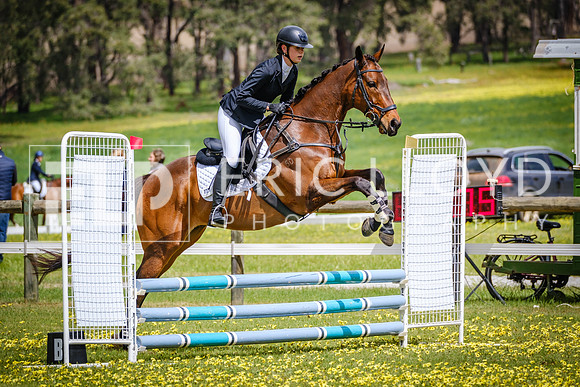 DSCF0919