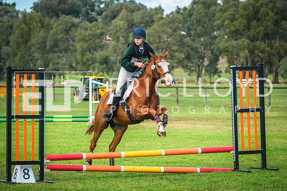 DSCF8007