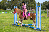 DSCF0342