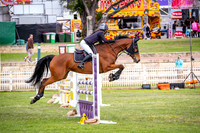 DSCF0477