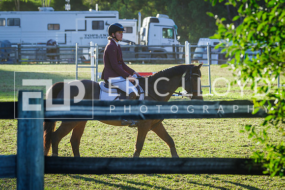 untitled-5978