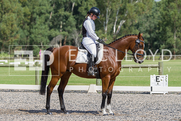 IMGP0167