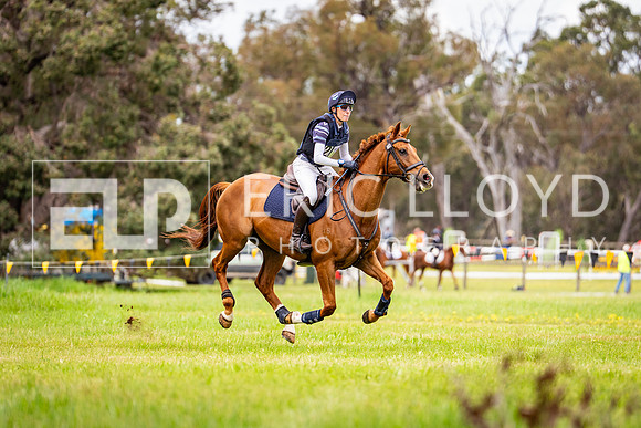DSC04982