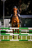 DSC03033