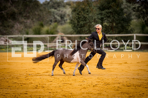 untitled-0665