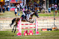 DSCF0419
