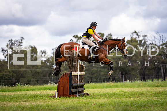 DSC04817