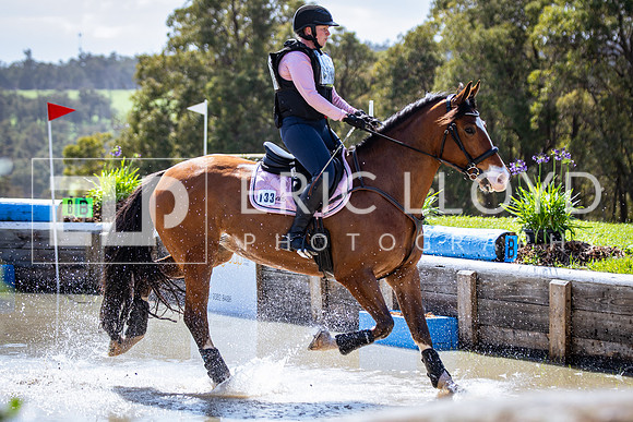 IMGP1301