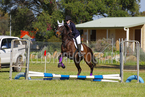 Bev Ag 2014-5147