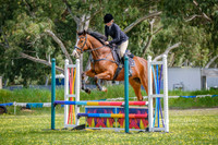Show Jumping 80cm - Special Two Phase (ALL)