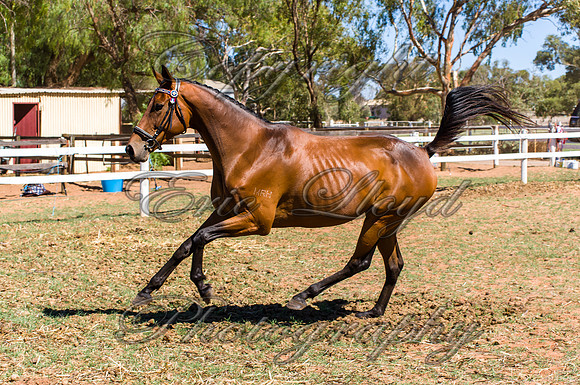 ERIC9824