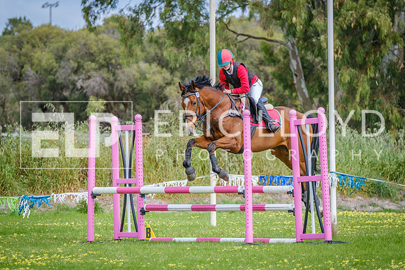 DSCF2273