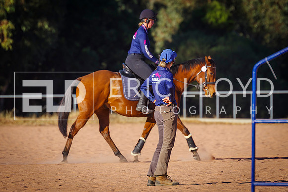 IMGP2952 - Copy
