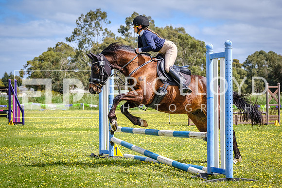 DSCF1294