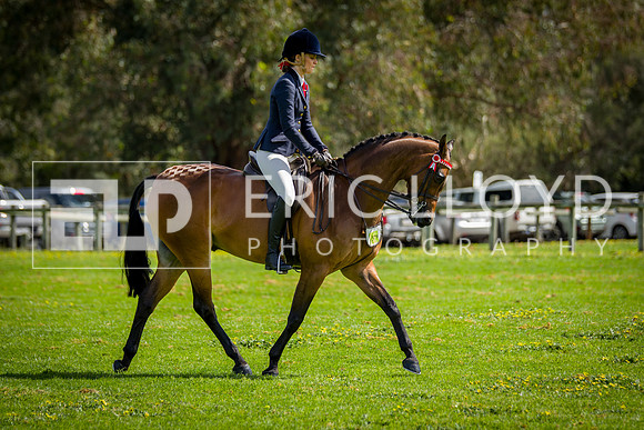 untitled-5109