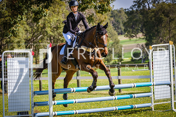 DSCF3200