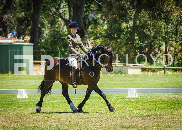 IMGP0059