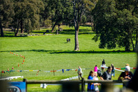 IMGP0674