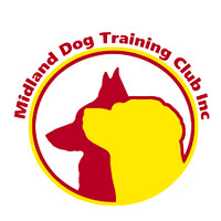 Midland Dog Training Club Inaugural Scent Work Trial 17th June 2023