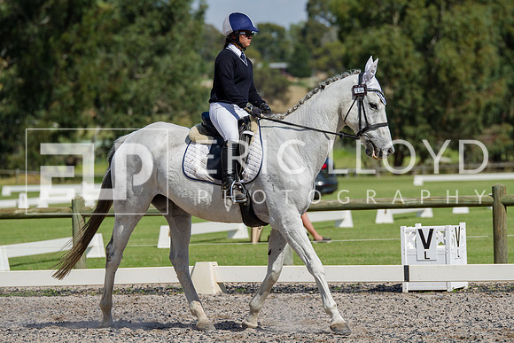 IMGP0339