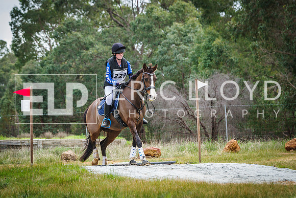IMGP7194
