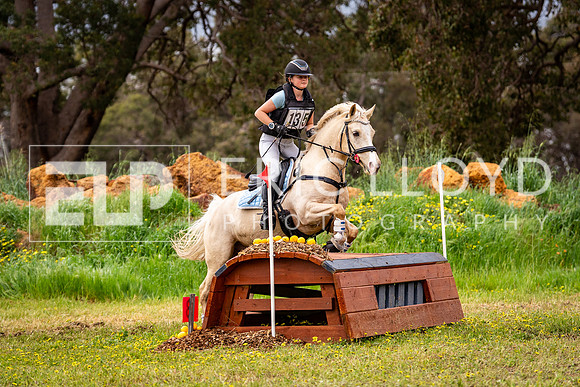 DSC02793
