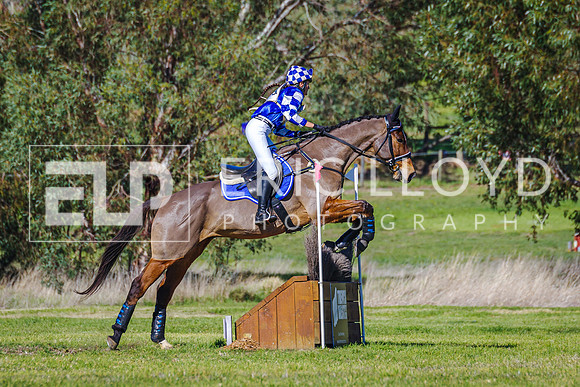 IMGP4582