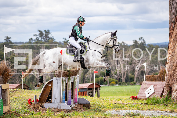 DSC05514