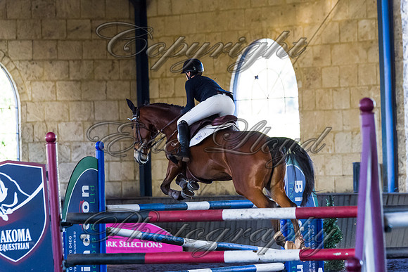 SRSJ Young Horse-8045