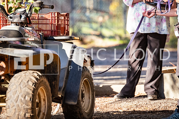 ELP_0722