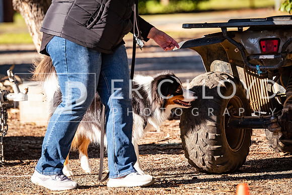 ELP_0665