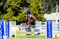 Hygains Feed Patrons Cup