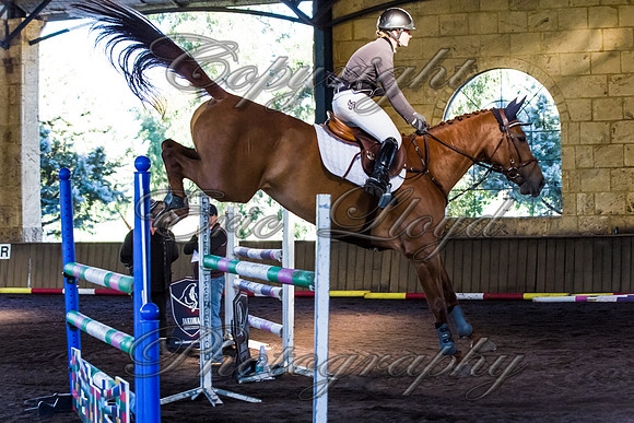 SRSJ Young Horse-8062