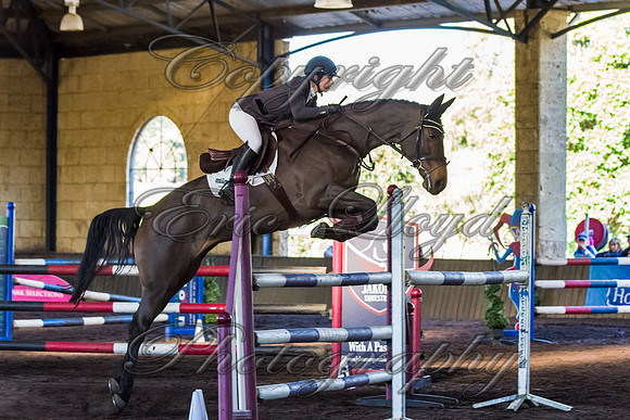 SRSJ Young Horse-8097