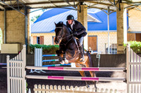 SRSJ Young Horse-7975