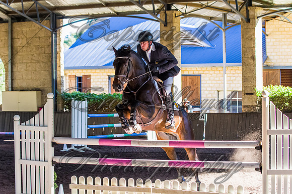SRSJ Young Horse-7975