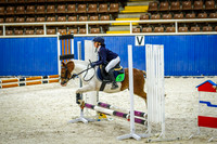 Primary 45cm Championship