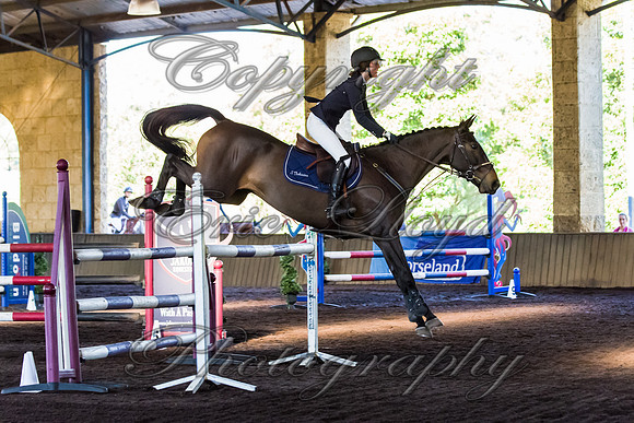 SRSJ Young Horse-8032