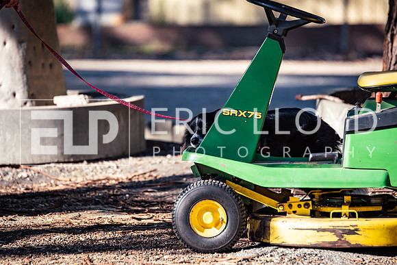 ELP_0050
