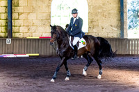 SRSJ Young Horse-7967