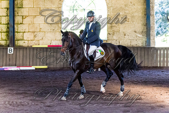 SRSJ Young Horse-7967