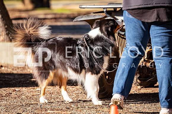 ELP_0674
