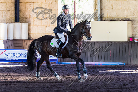 SRSJ Young Horse-7966