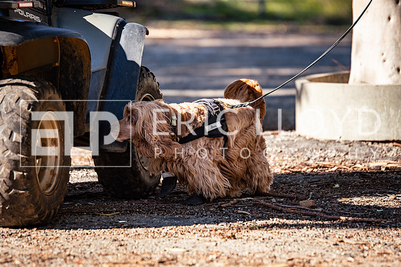 ELP_0097