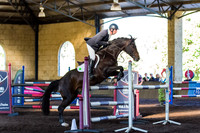 SRSJ Young Horse-7978