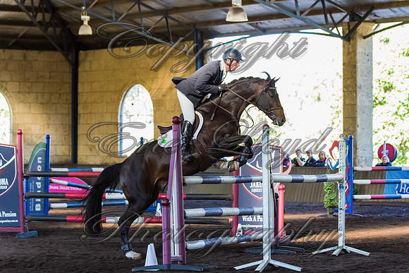 SRSJ Young Horse-7978