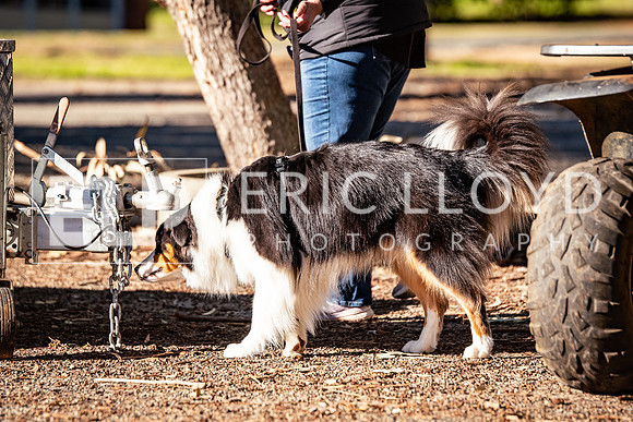 ELP_0650