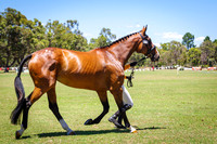 ELP_5409
