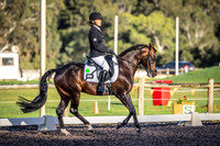Competitor Pony Prelim 1.2